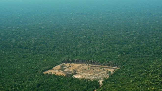 Deforestation is happening in the Amazon at an alarming rate. 