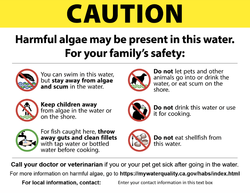 tahoe, Lake Tahoe, south shore, algae, dog died