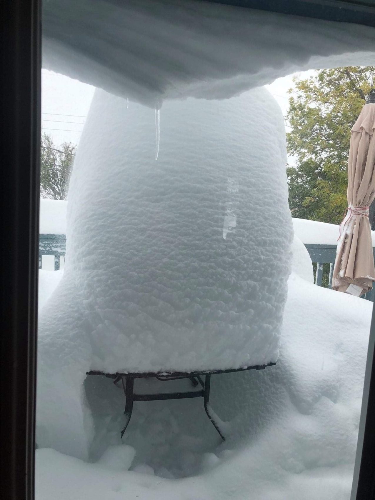 montana, snow