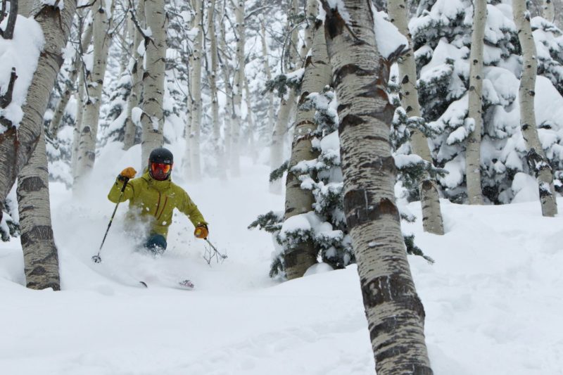 aspens, ski, park city, UT