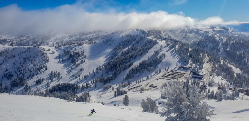 pow, skiing, powder mountain