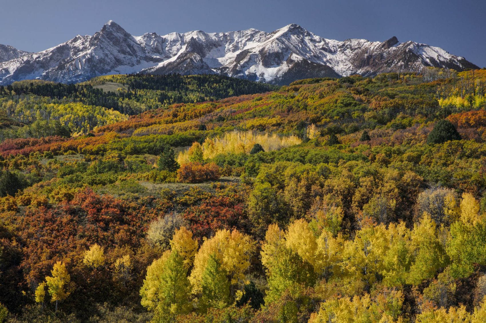 National Park Fall