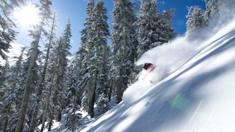 promised land, alpine meadows, california