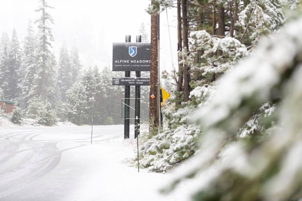 california, tahoe, snow, alpine meadows