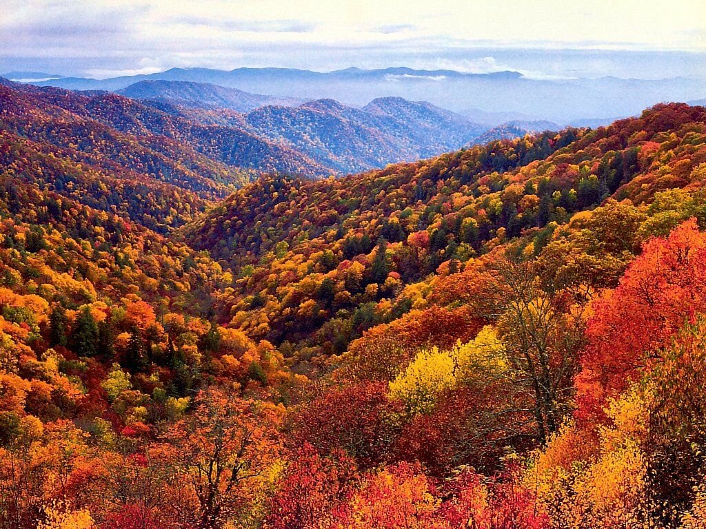 National Park Fall 