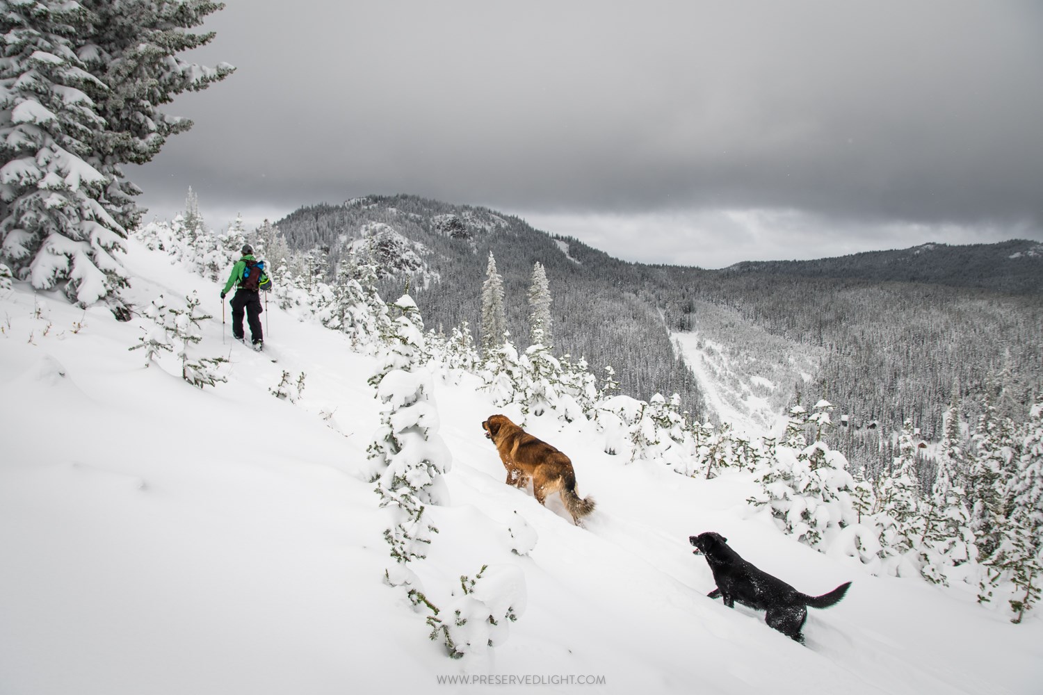 apex mountain, canada