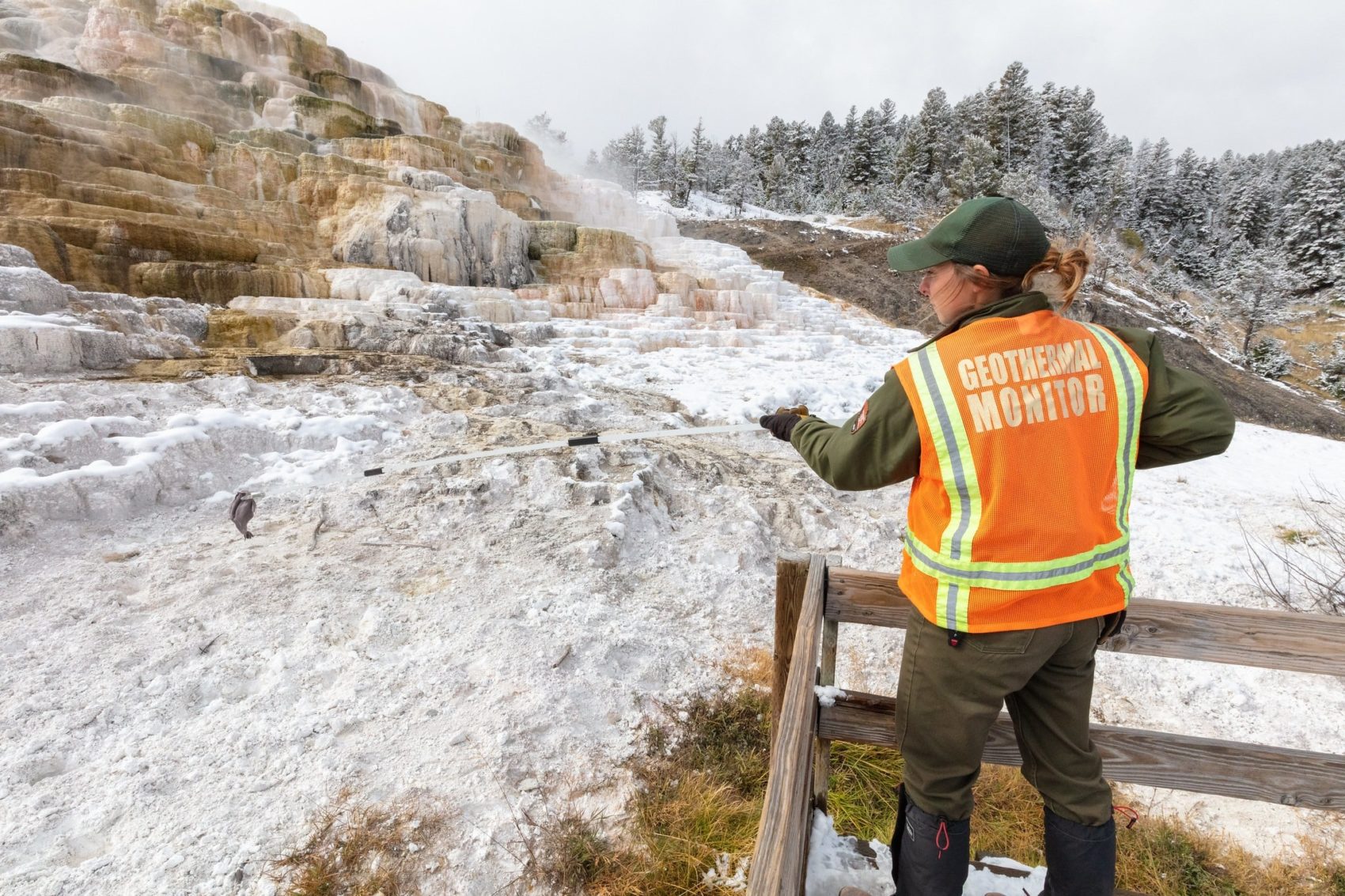 Yellowstone, hats, litter,