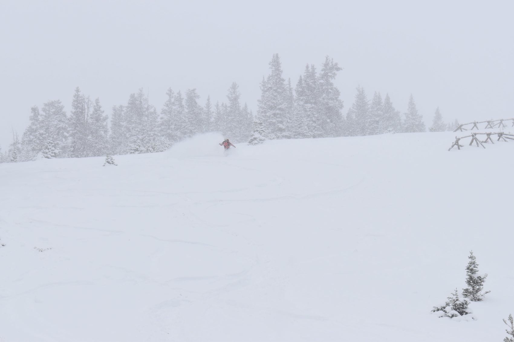 Berthoud Pass, colorado, October