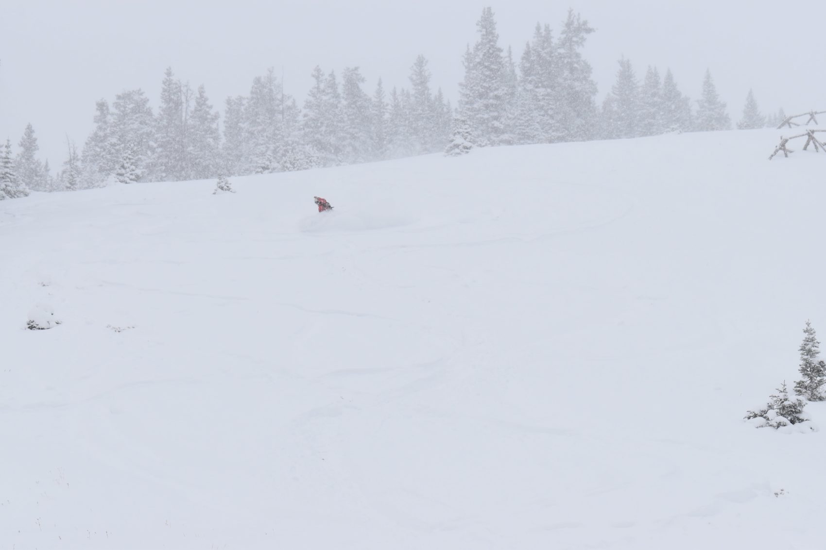 Berthoud Pass, colorado, October
