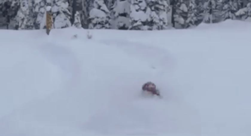 kana skis, canada, sledding, snow, deep powder, snorkel