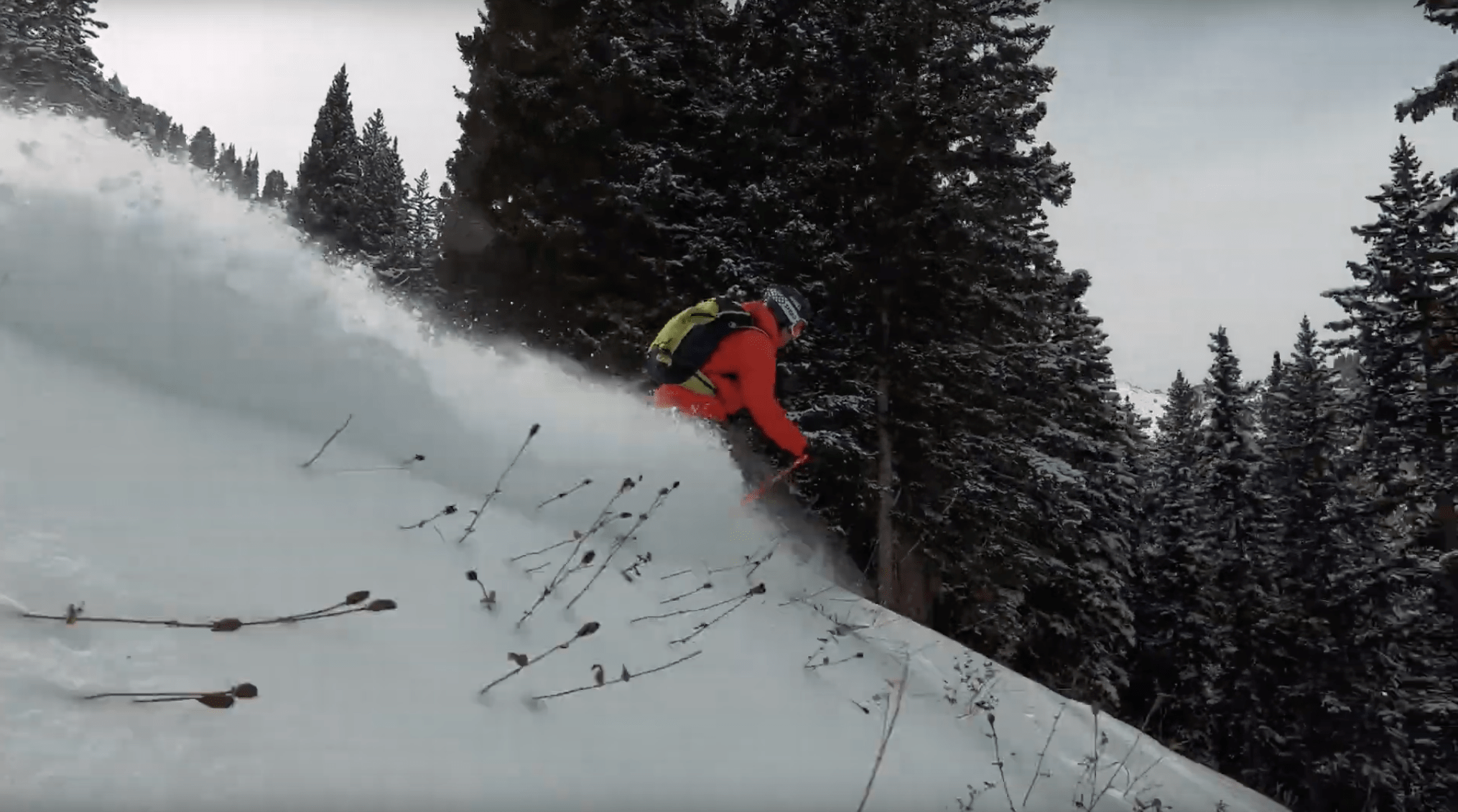alta, Utah, early season, pow turns