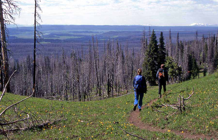 Yellowstone backountry