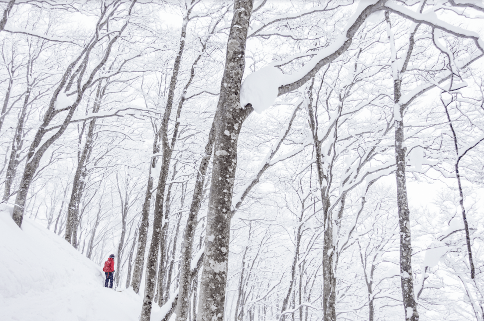 Backcountry