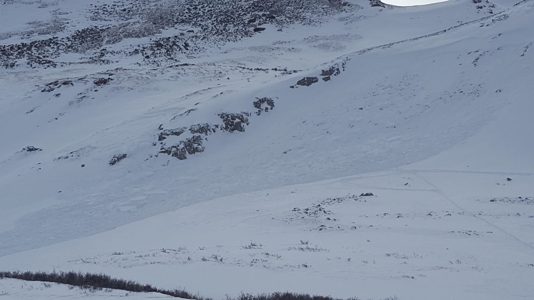 avalanche, colorado