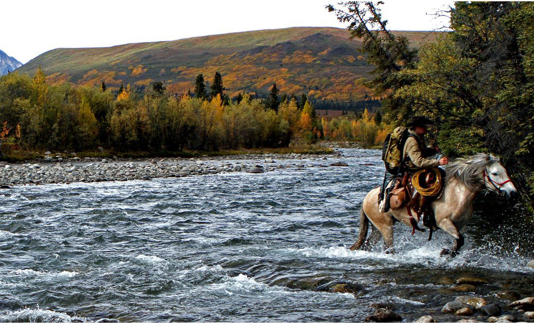 backcountry, river, nature horse, hunting, fishing, anglers