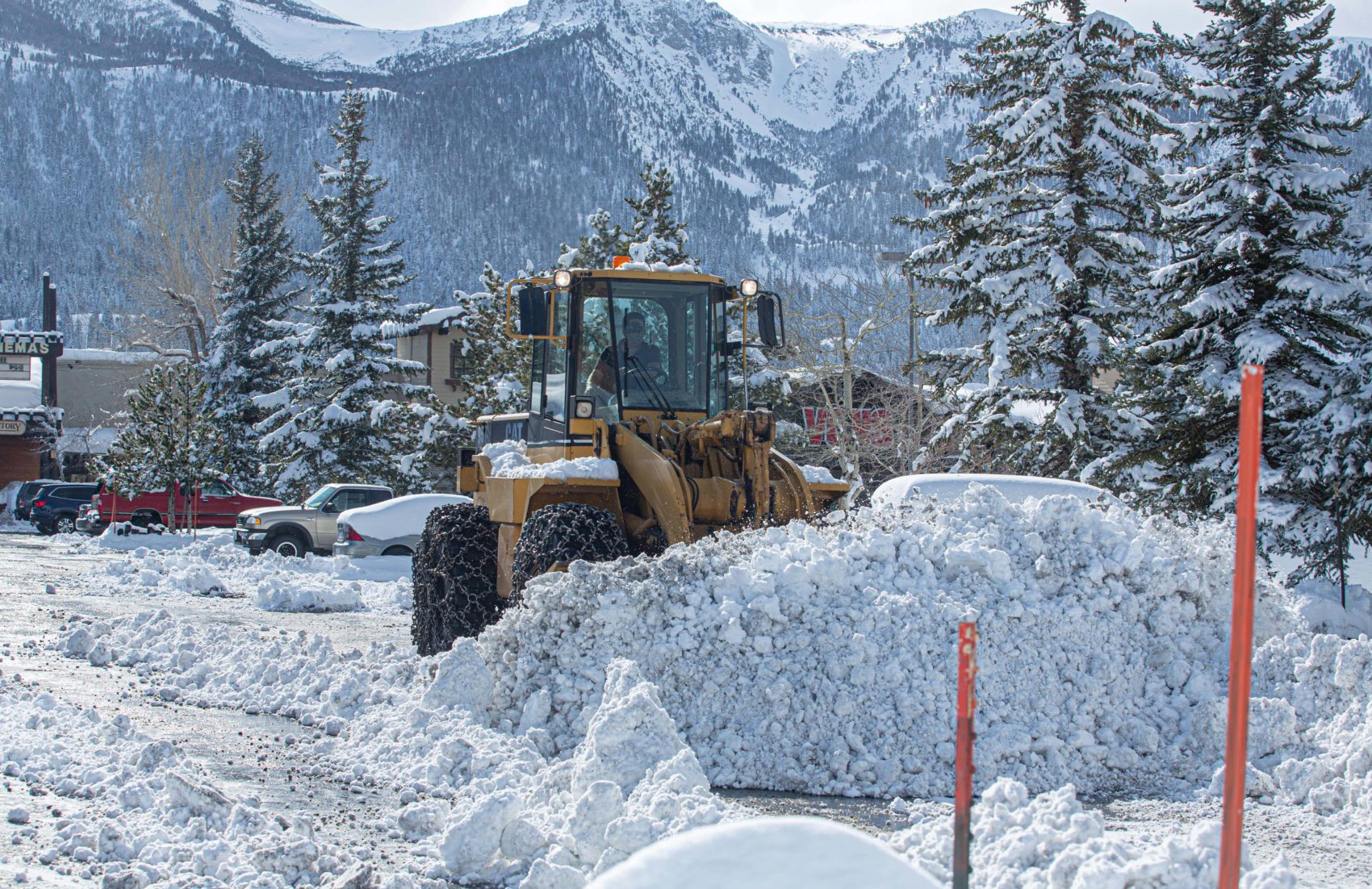 mammoth, snow, open terrain