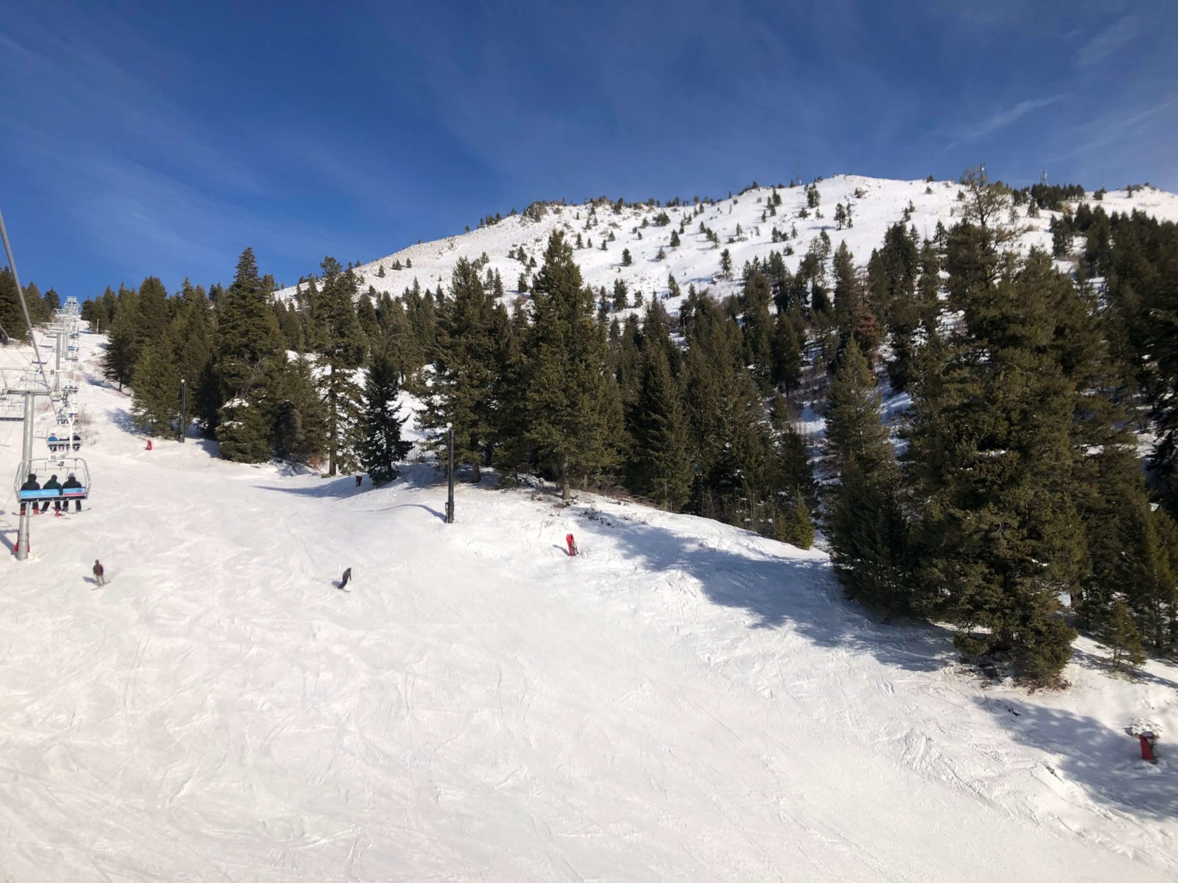 brand new high speed quad