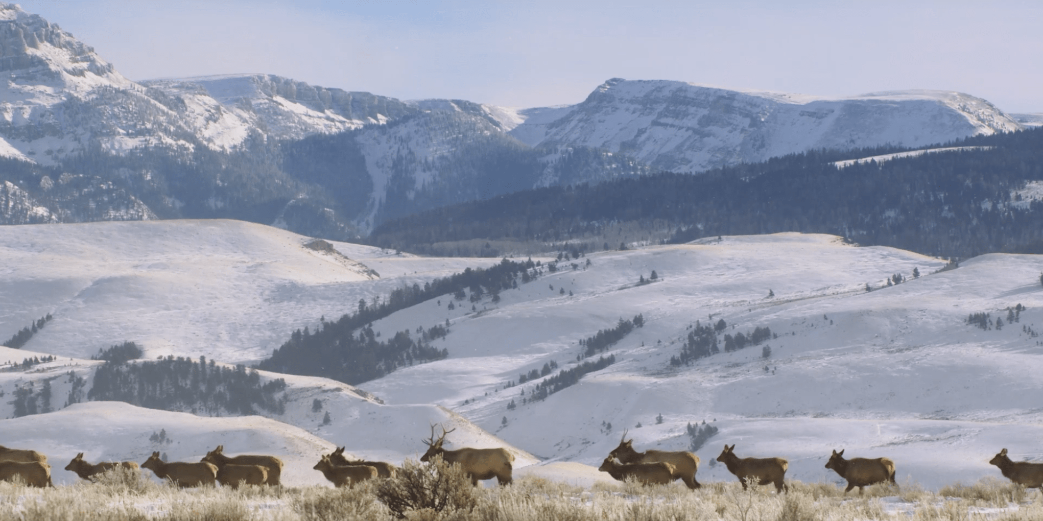 Jackson Hole,