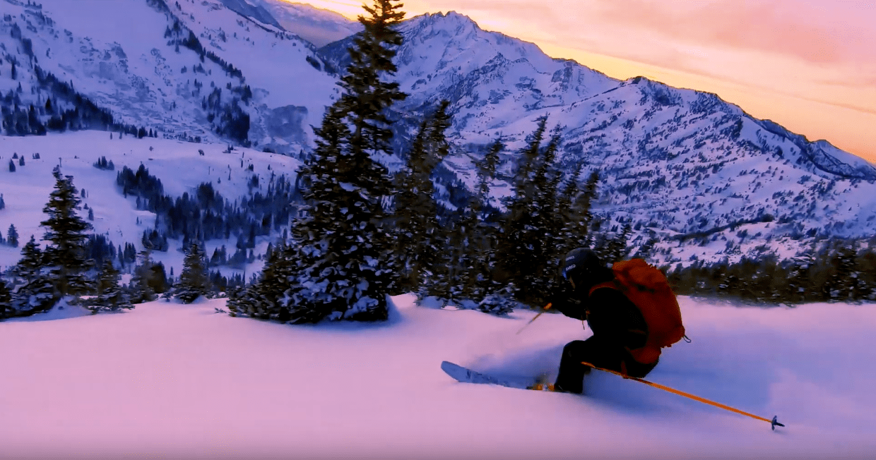 daily pow, Alta, Utah