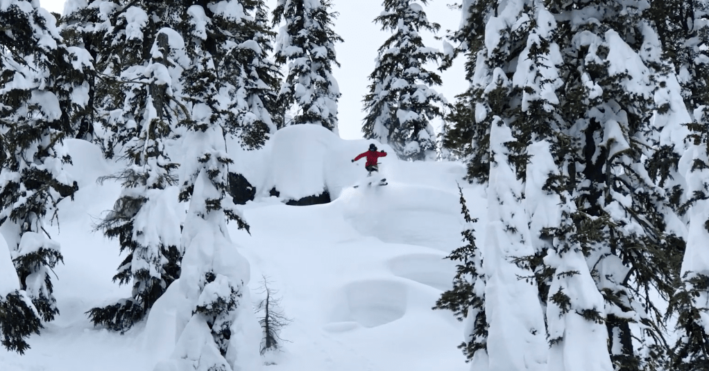snowledge, video, team edit
