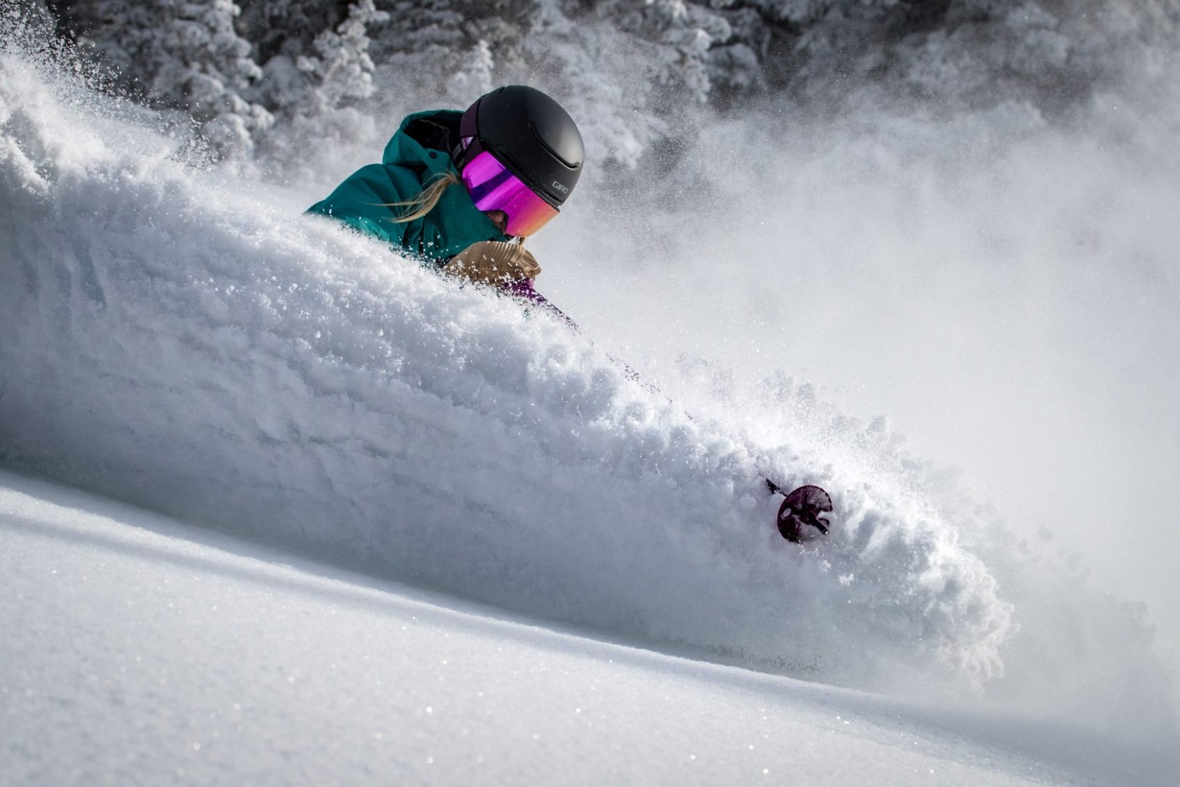 snowbird, utah