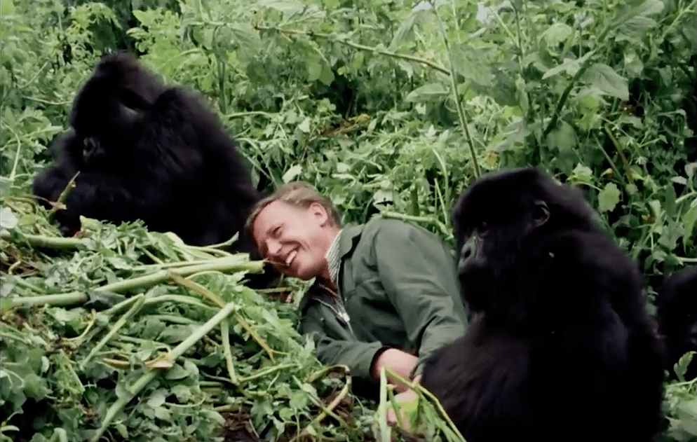 David Attenborough