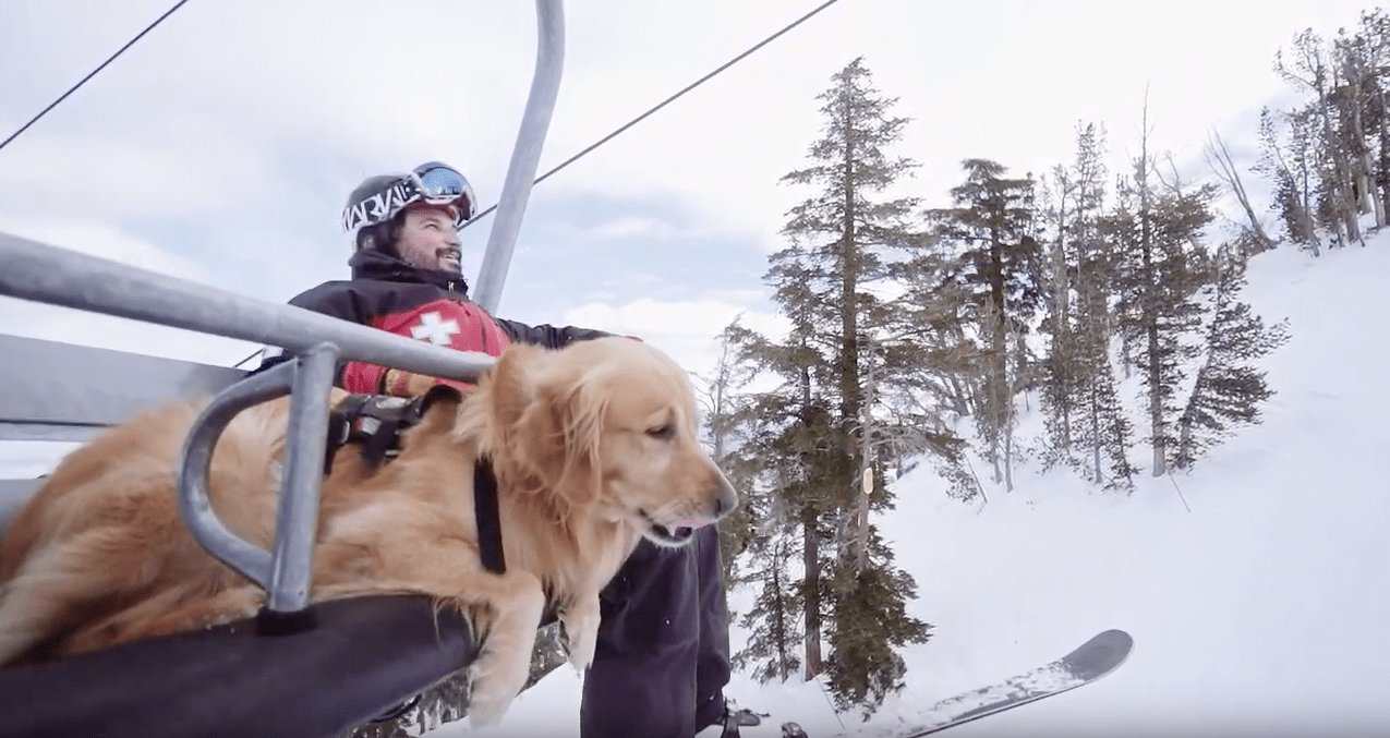 safety, Ski California