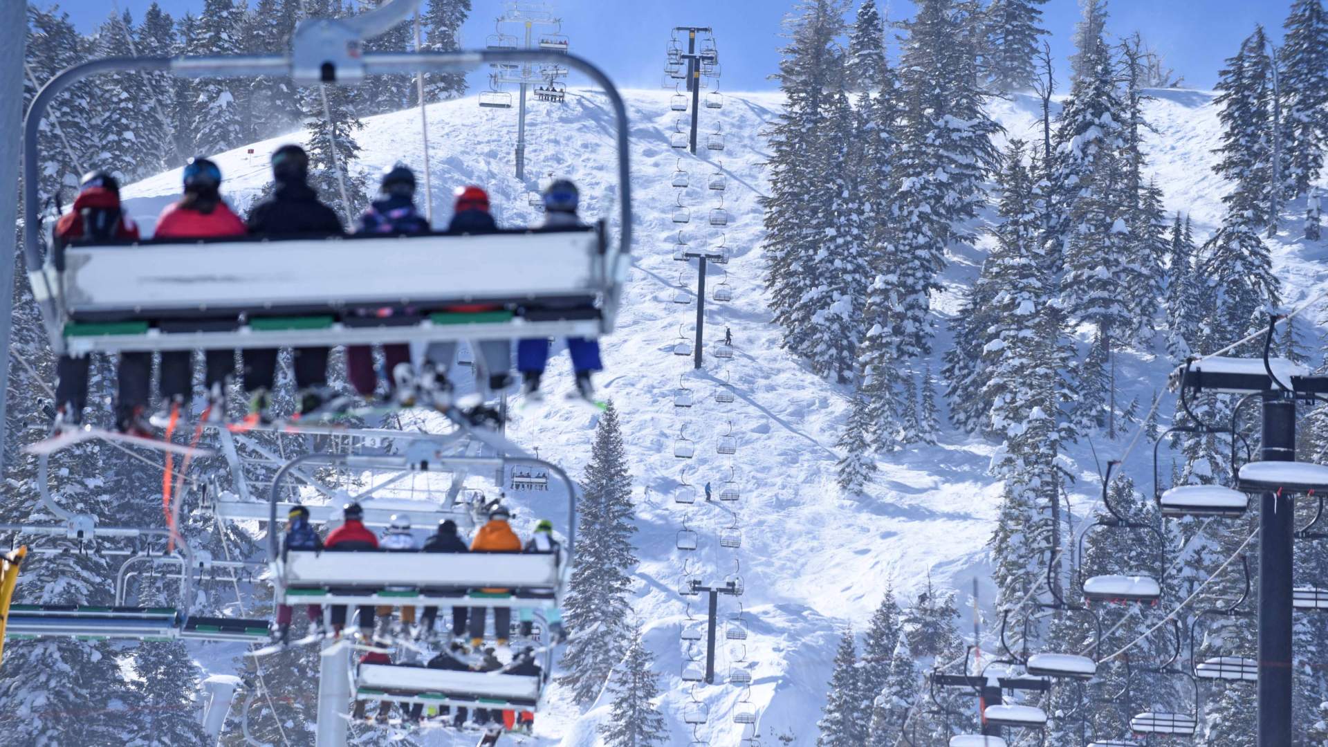 skiing at bear valley