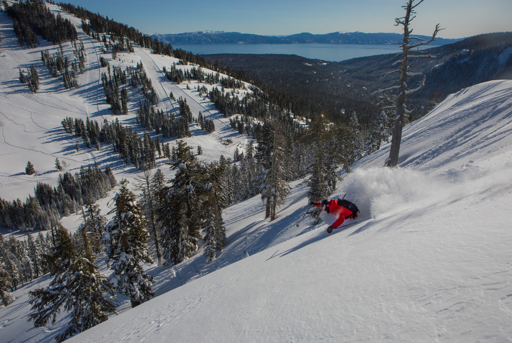 alpine meadows, arts knob