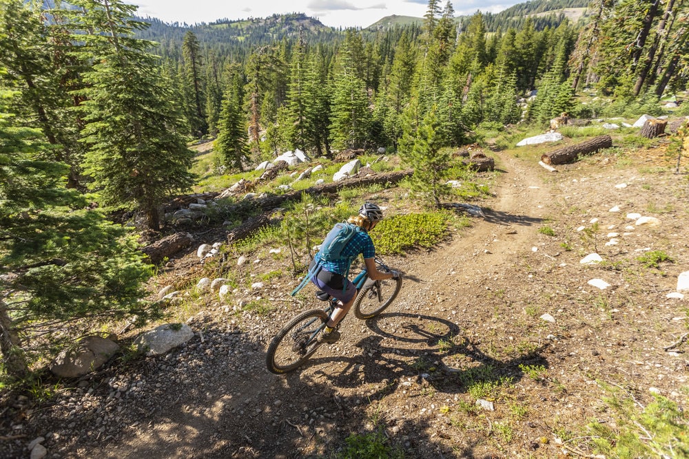 mountain biking