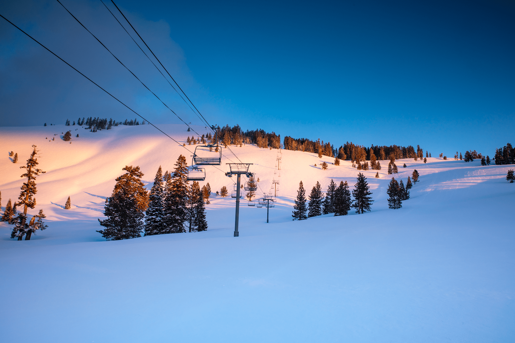 sherwood, alpine meadows,