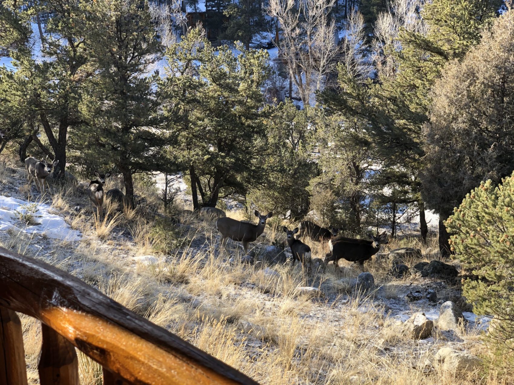 Monarch Hot Springs Colorado