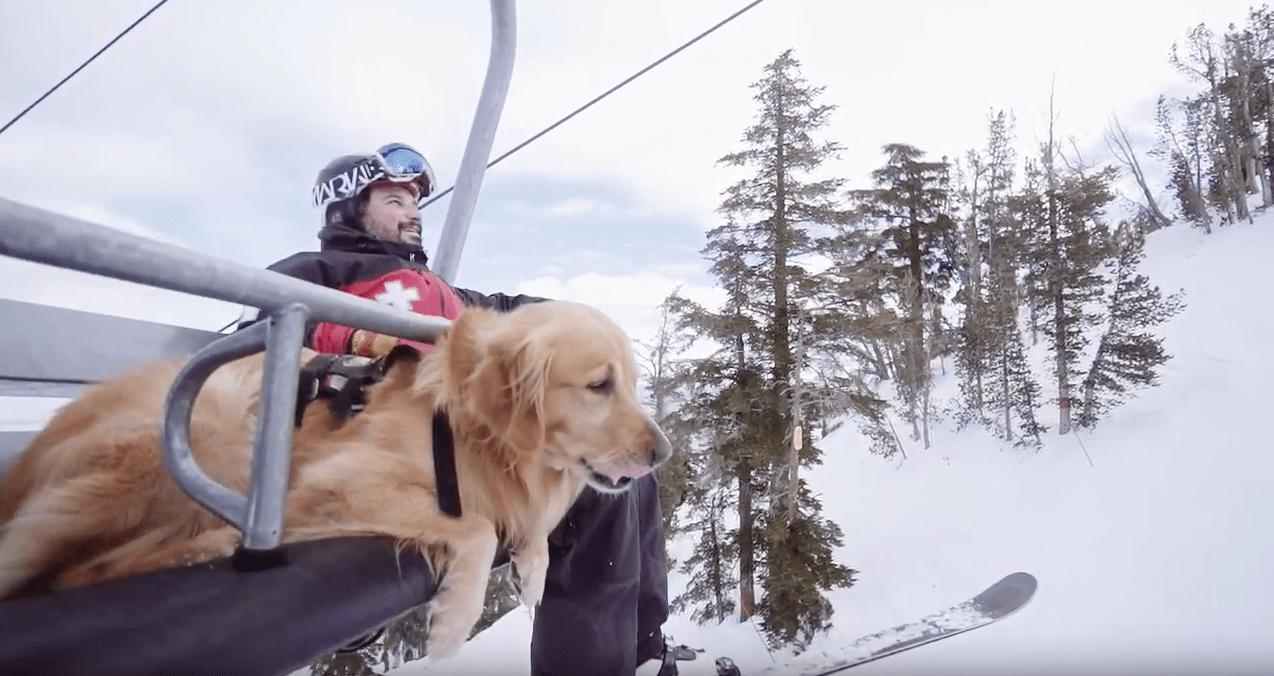 Ski California, safety video,