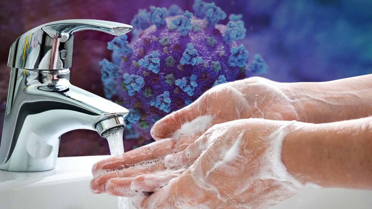wash, hands, surgeon,