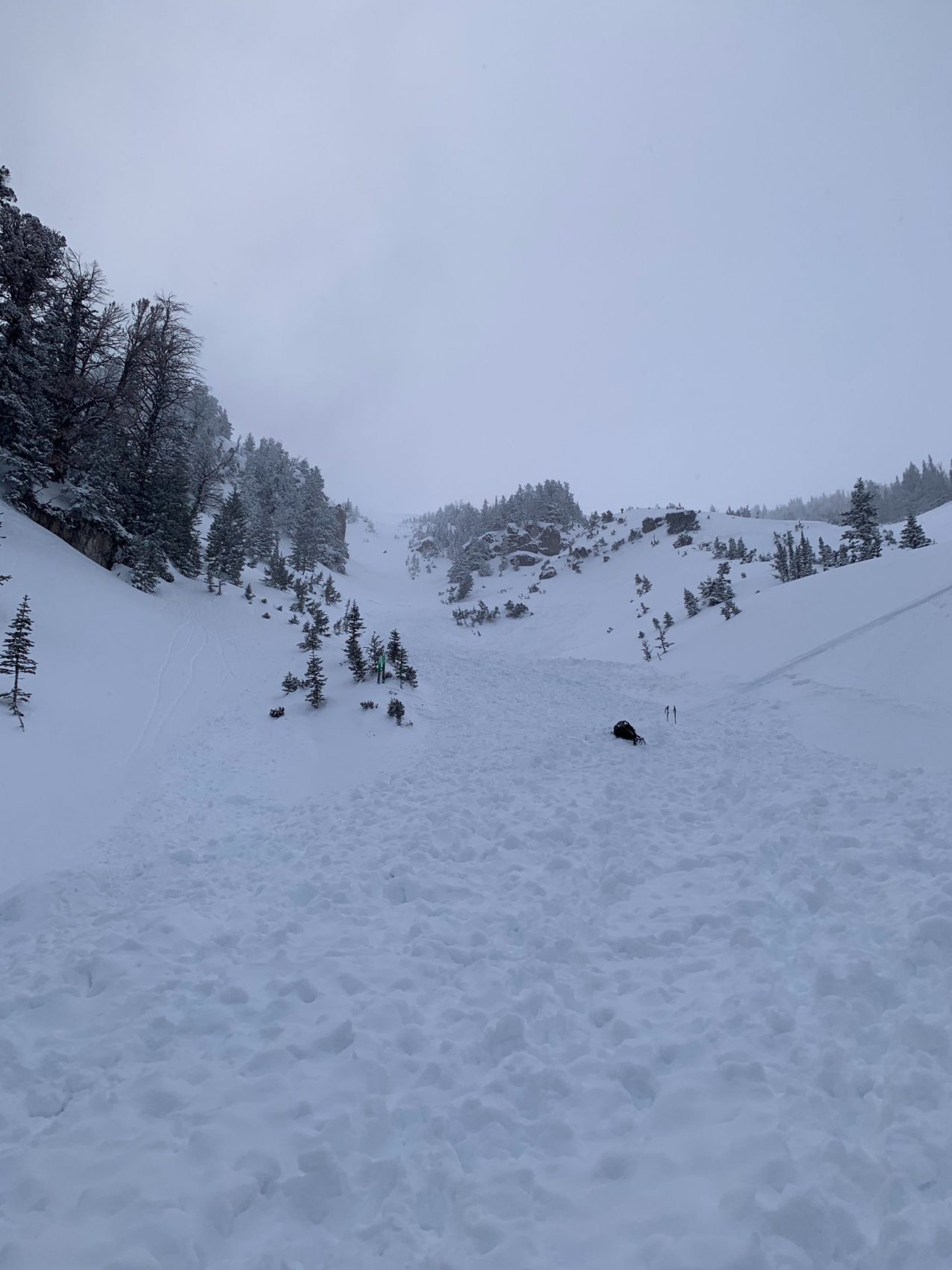 avalanche, Taylor Mountain, Wyoming