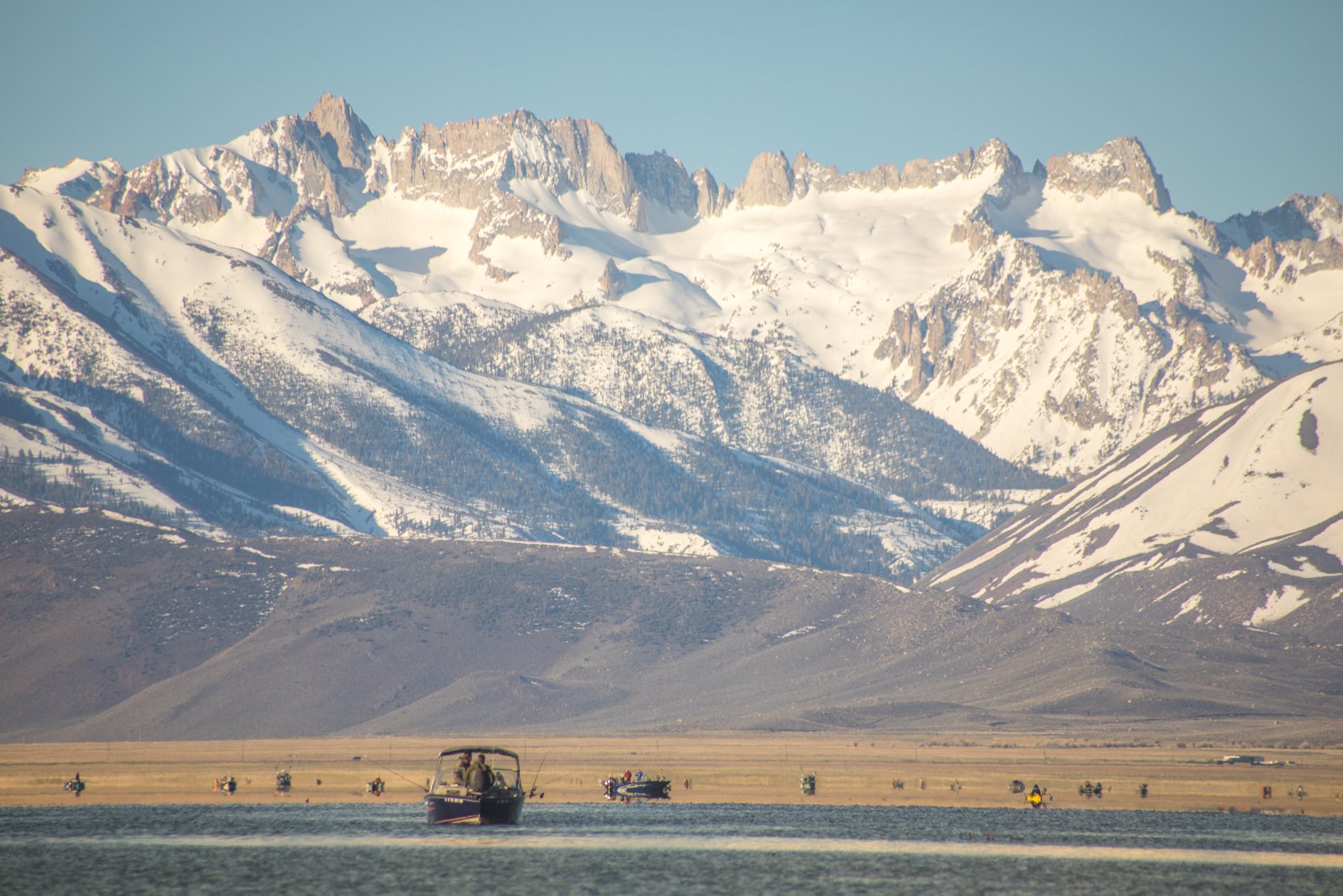 fishers, postponed, mono county, California, eastern Sierra,