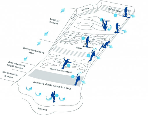 diagram, avalanche survival