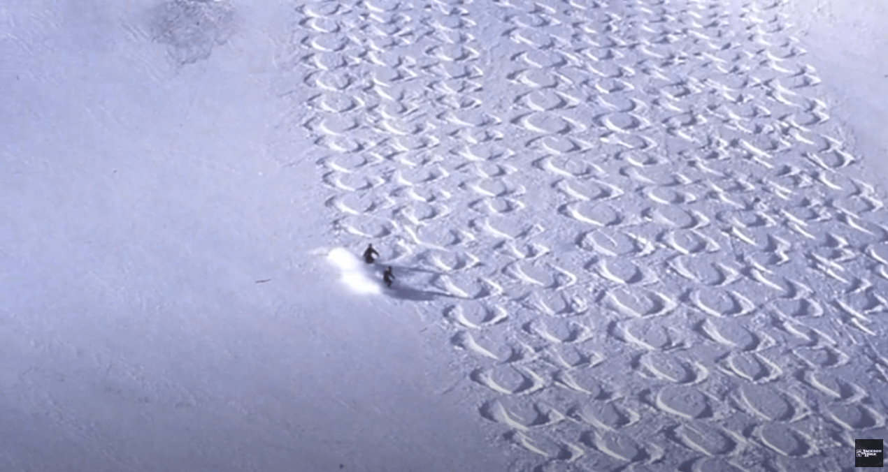 powder-8s