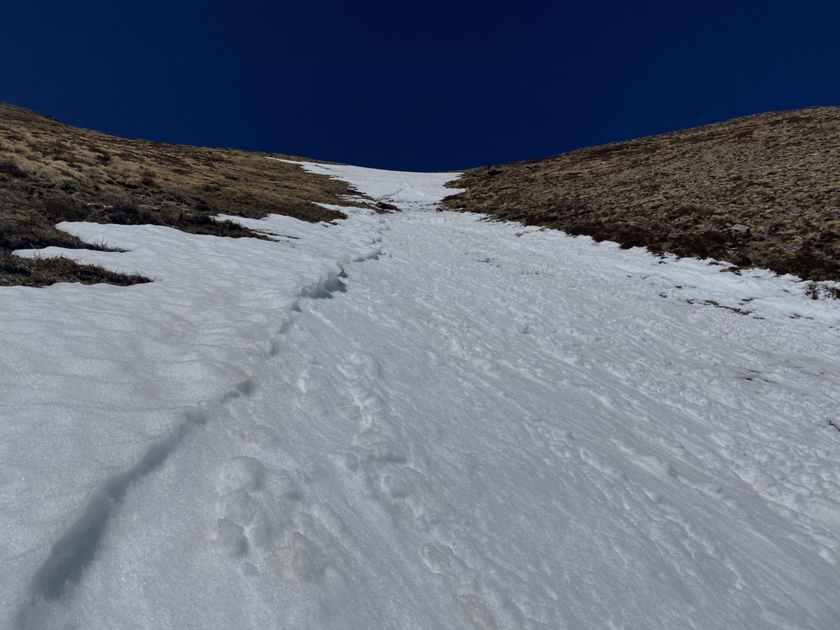 avalanche, colorado