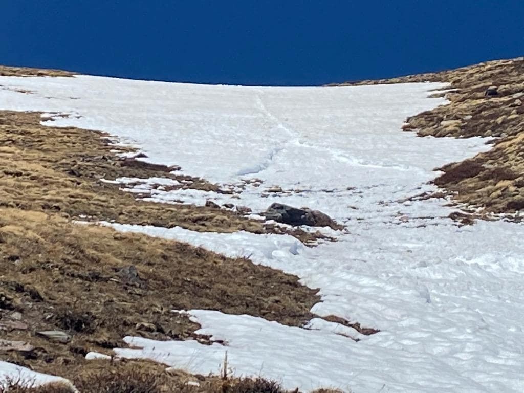 avalanche, colorado, horn peak