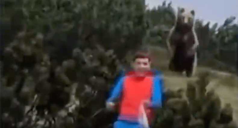 bear, follows boy, italy,