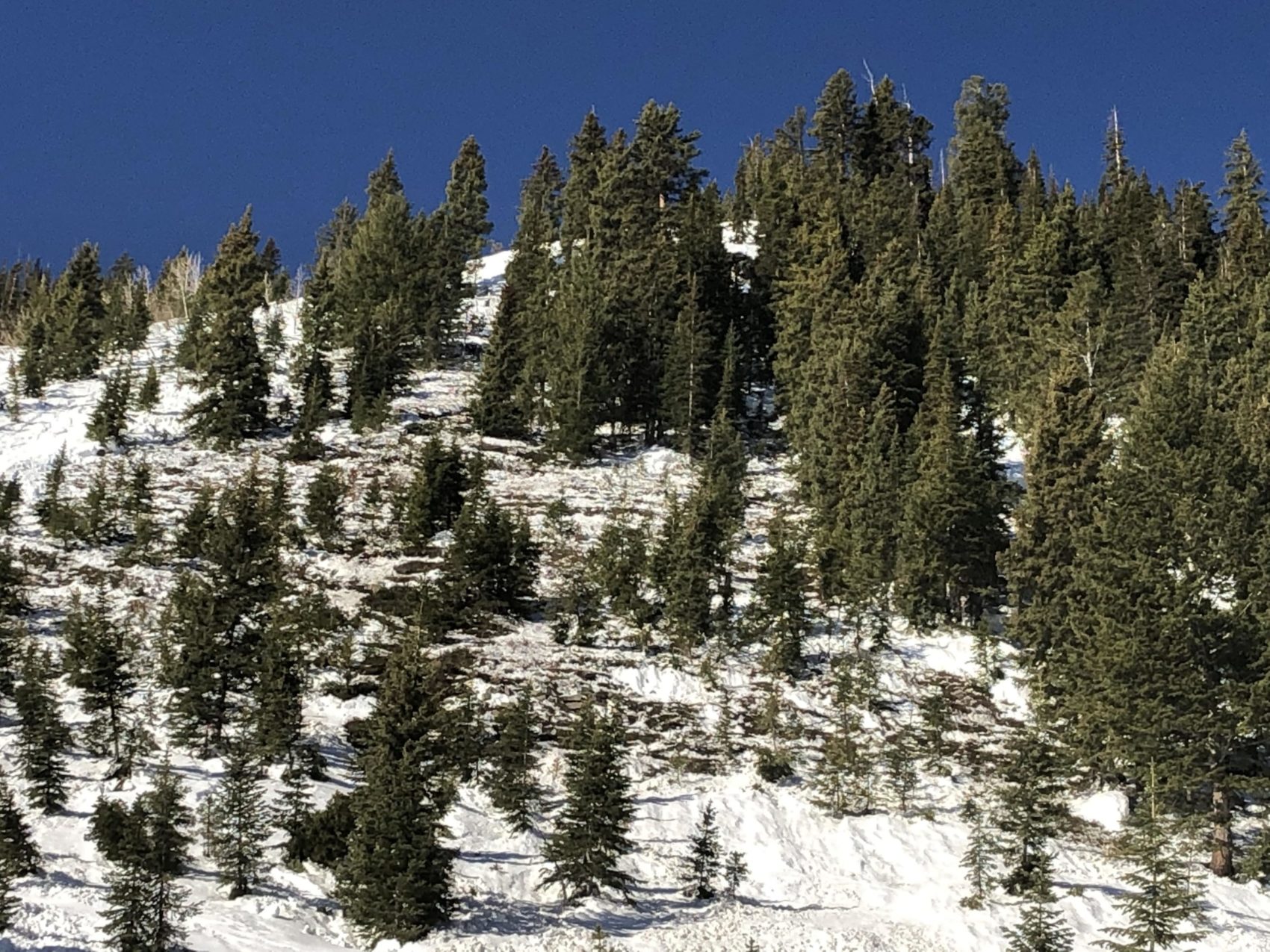 avalanche, colorado, crested butte, caic