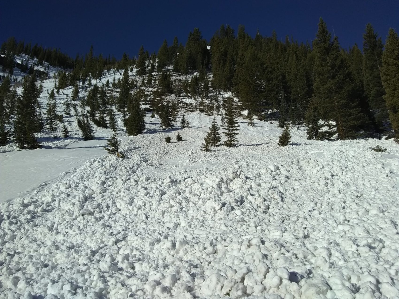 avalanche, colorado, crested butte, caic