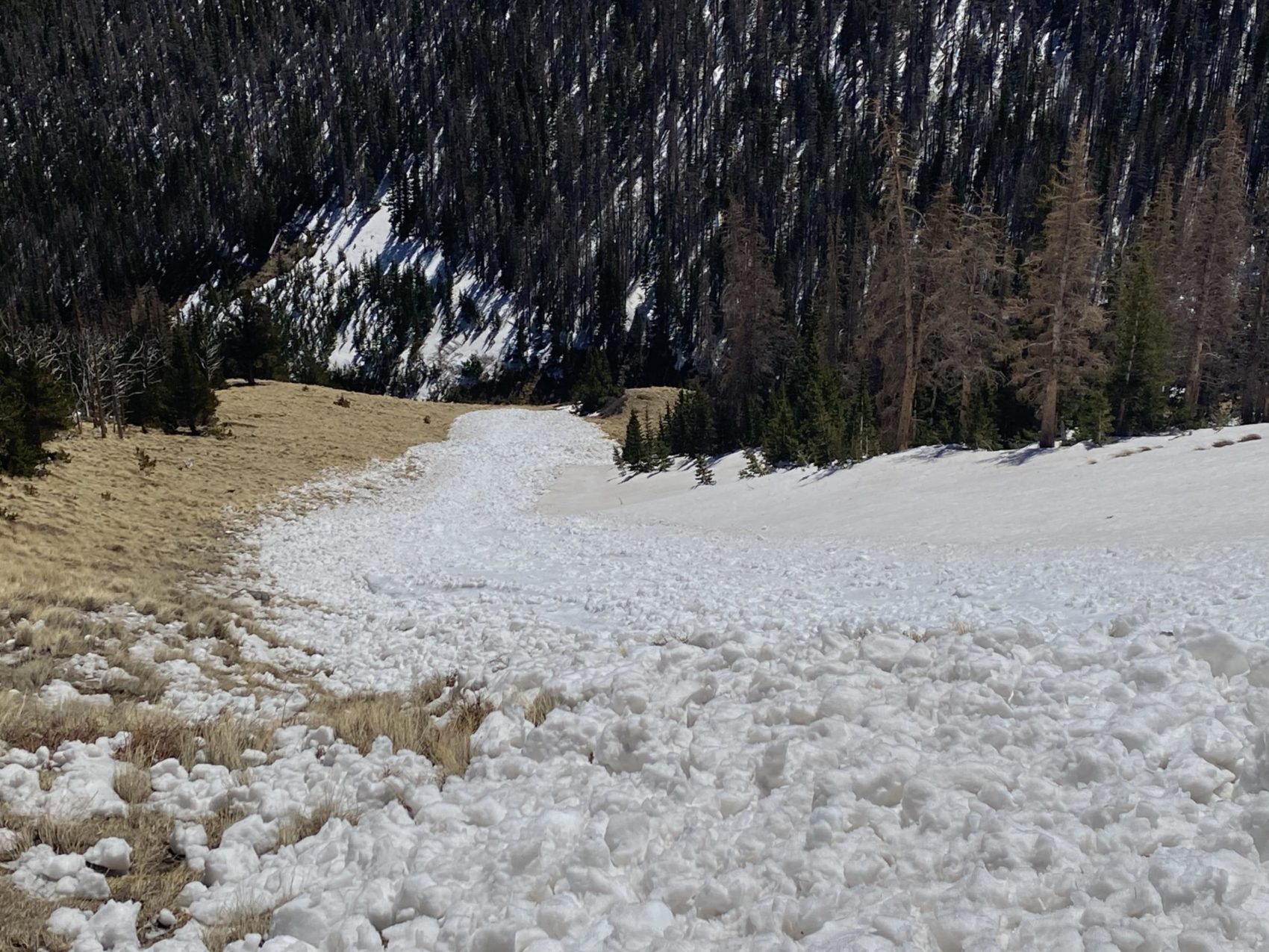 avalanche, colorado
