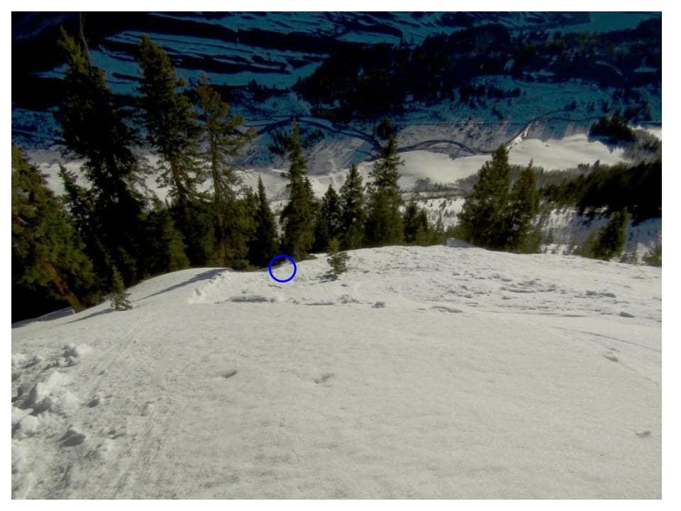 avalanche, colorado, crested butte, caic