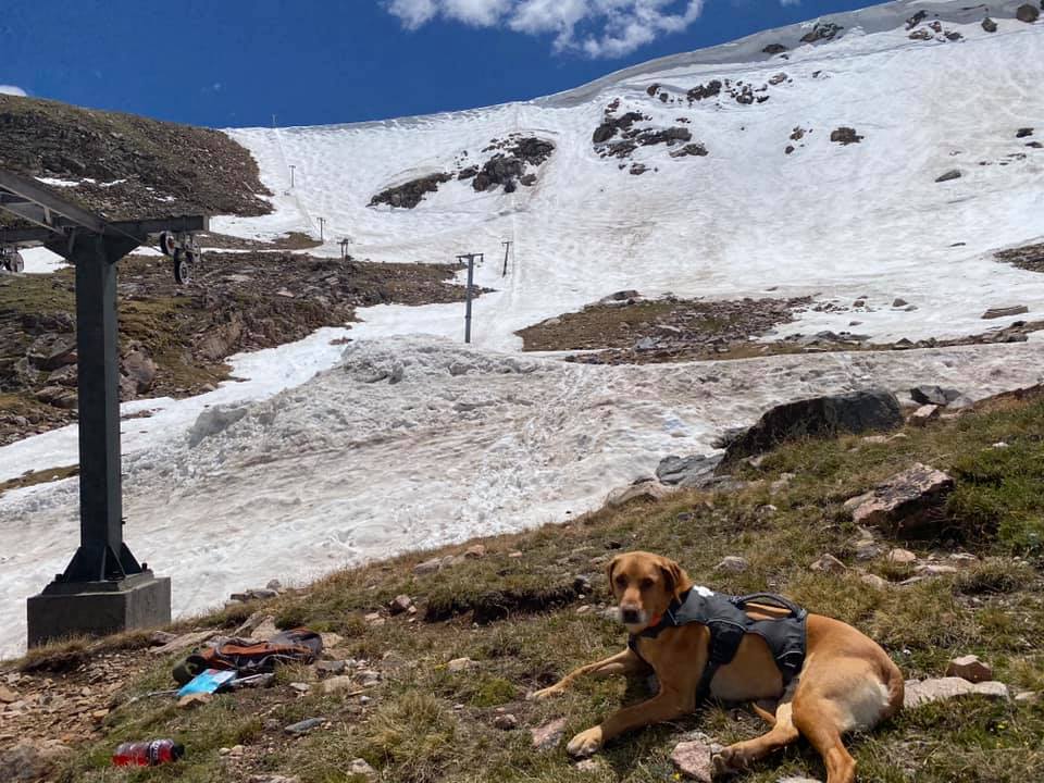 beartooth basin, wyoming, Montana,