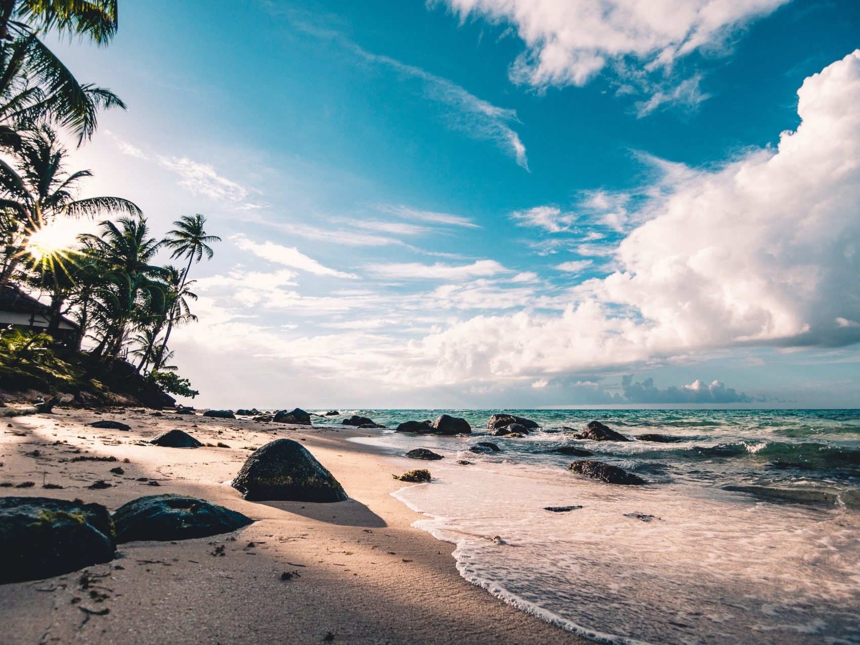 Beach, Pollution, Ocean Ecosystem, Cigarette Butts