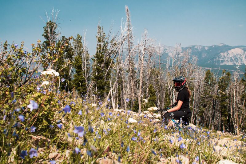Mountain Bike, big sky, 