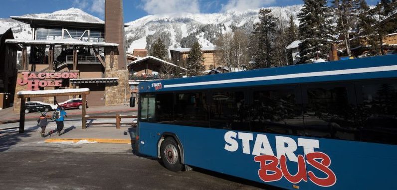 bus