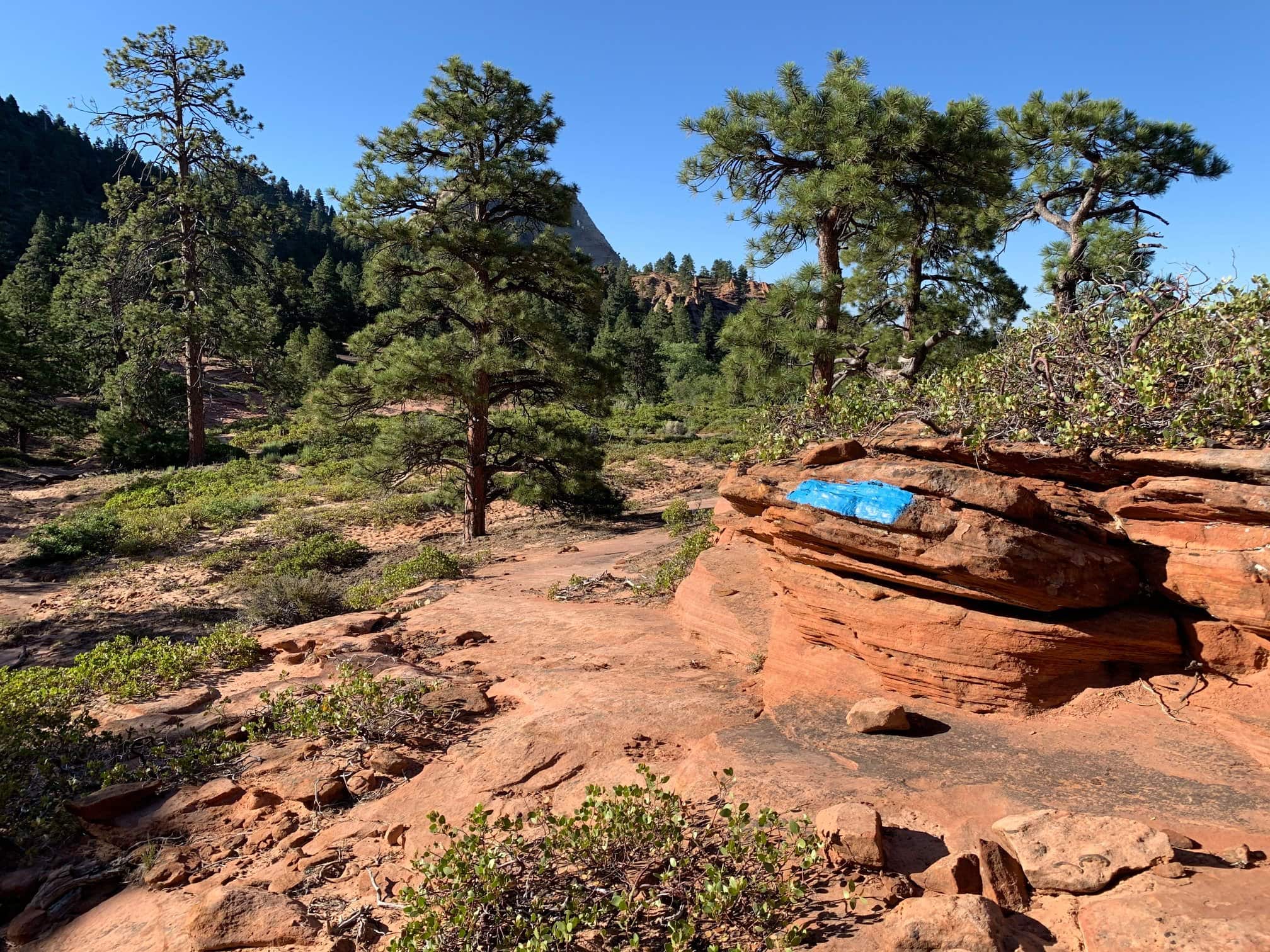 vandalism, Zion, Utah, graffiti